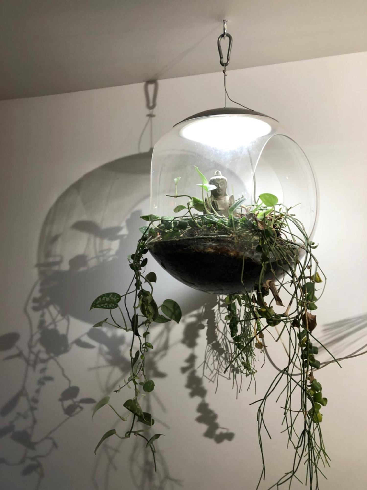 Charming House, Calm Garden In The Center Of Appartement *